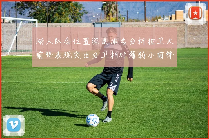 湖人队各位置深度排名分析控卫大前锋表现突出分卫相对薄弱小前锋与中锋处于中游水平