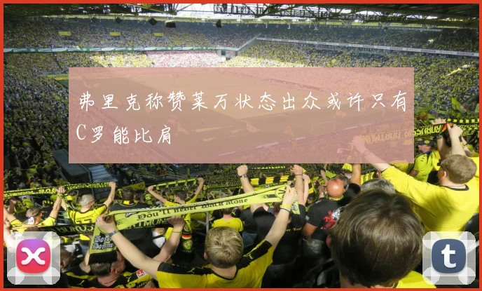 弗里克称赞莱万状态出众或许只有C罗能比肩