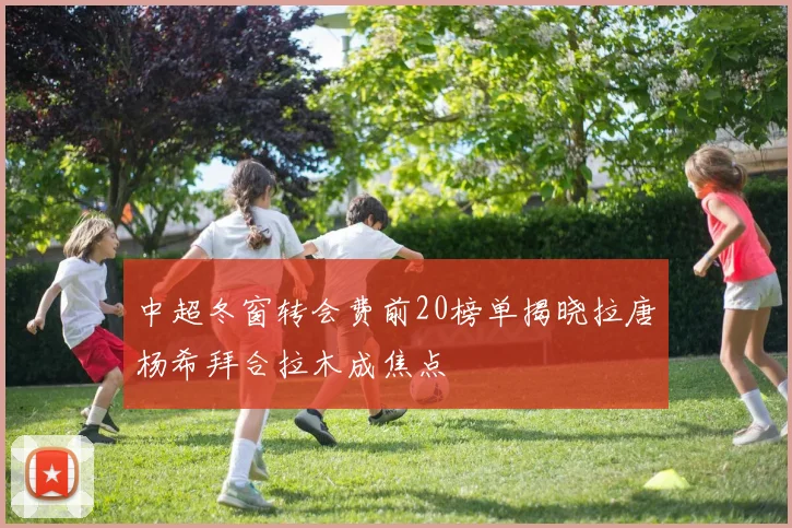 中超冬窗转会费前20榜单揭晓拉唐杨希拜合拉木成焦点