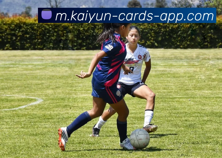 用户互动社区